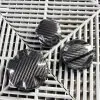 G80/G82/G87/X3M/X4M Dry Carbon Engine Bay Cap Set — thumbnail 4